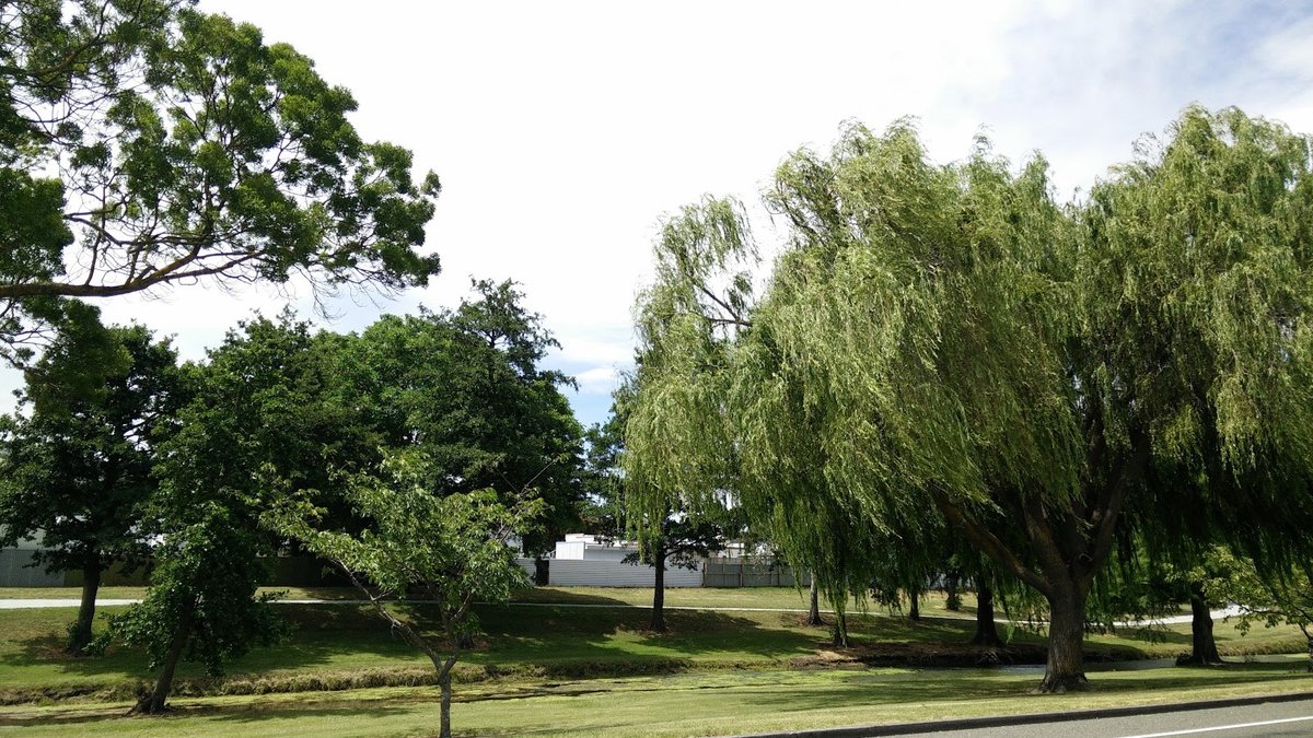 Marewa Park