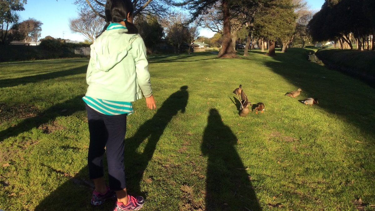 Marewa Park