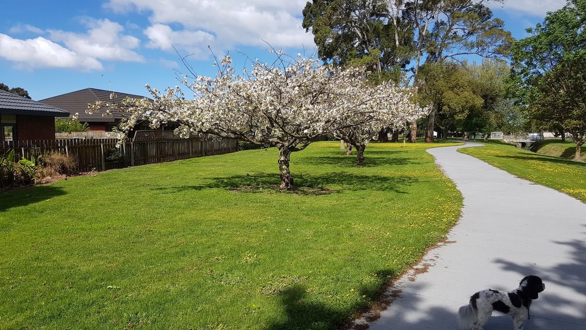 Marewa Park