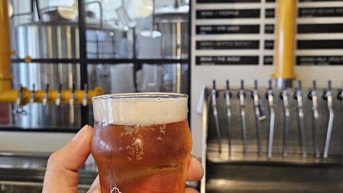 Brave Brewing Co