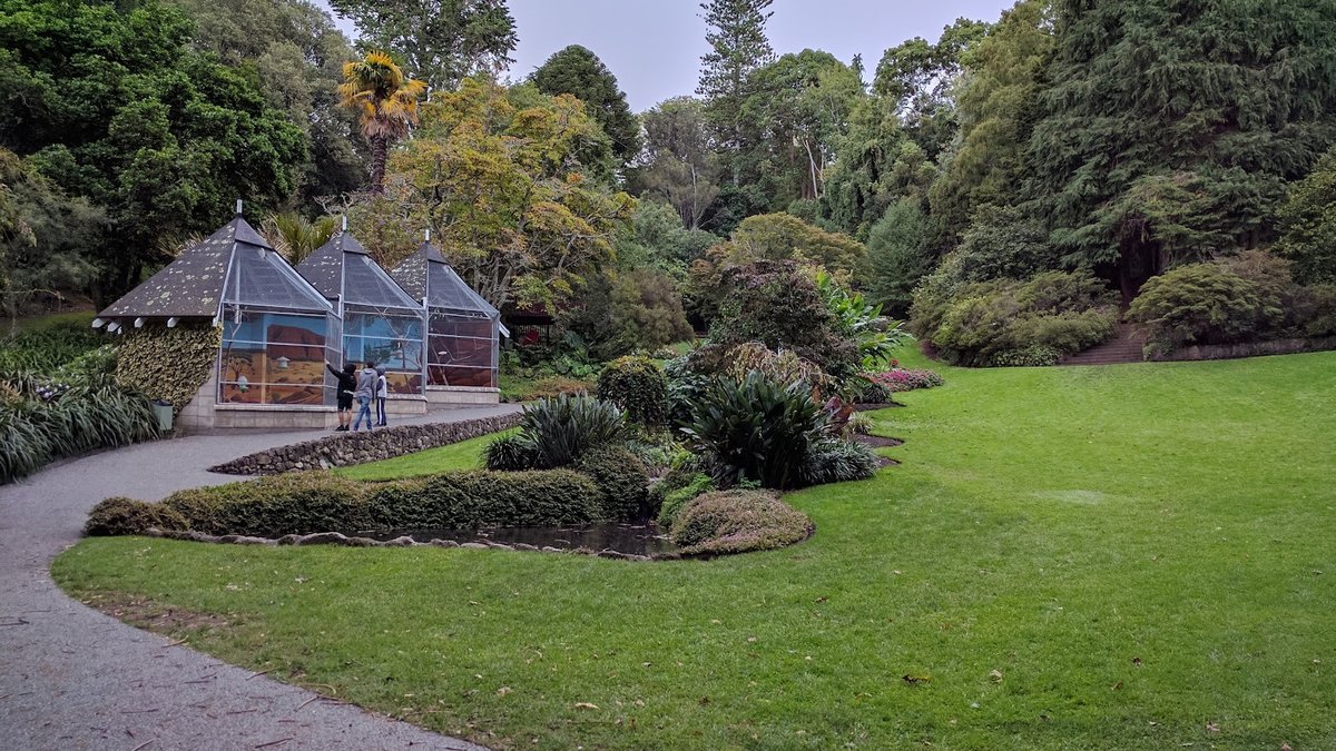 Visiting Napier Botanical Gardens: A Practical Guide to Napier Hill's Historic Reserve
