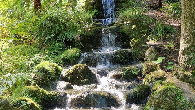 Napier Botanical Gardens