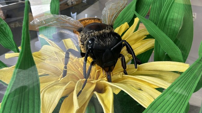 Arataki Honey Visitor Centre