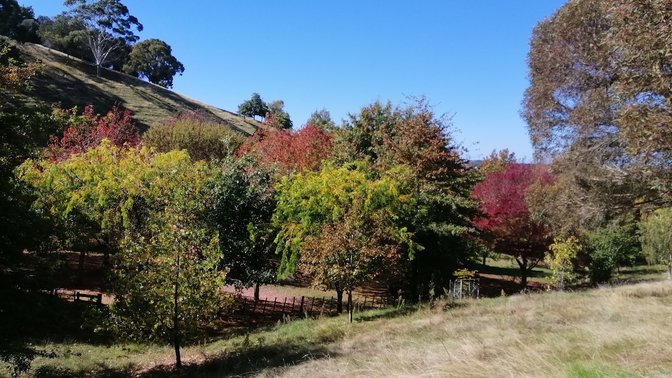 Dolbel Reserve