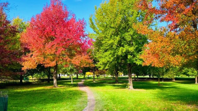Dolbel Reserve
