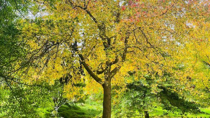 Dolbel Reserve