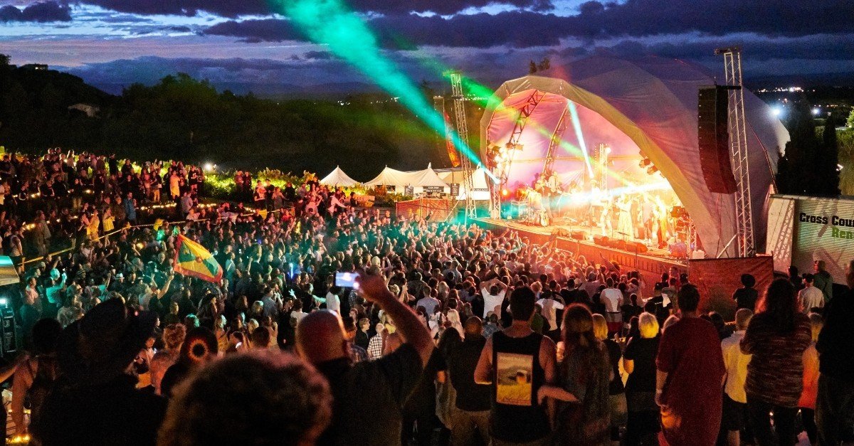 100 Studios Open Across Hawke's Bay Arts Trail 2026